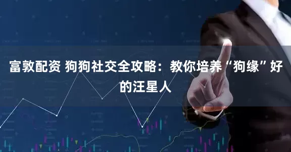 富敦配资 狗狗社交全攻略：教你培养“狗缘”好的汪星人